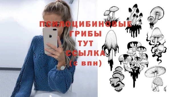 амфетамин Снежногорск