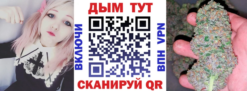 Канабис семена  Гаврилов Посад 